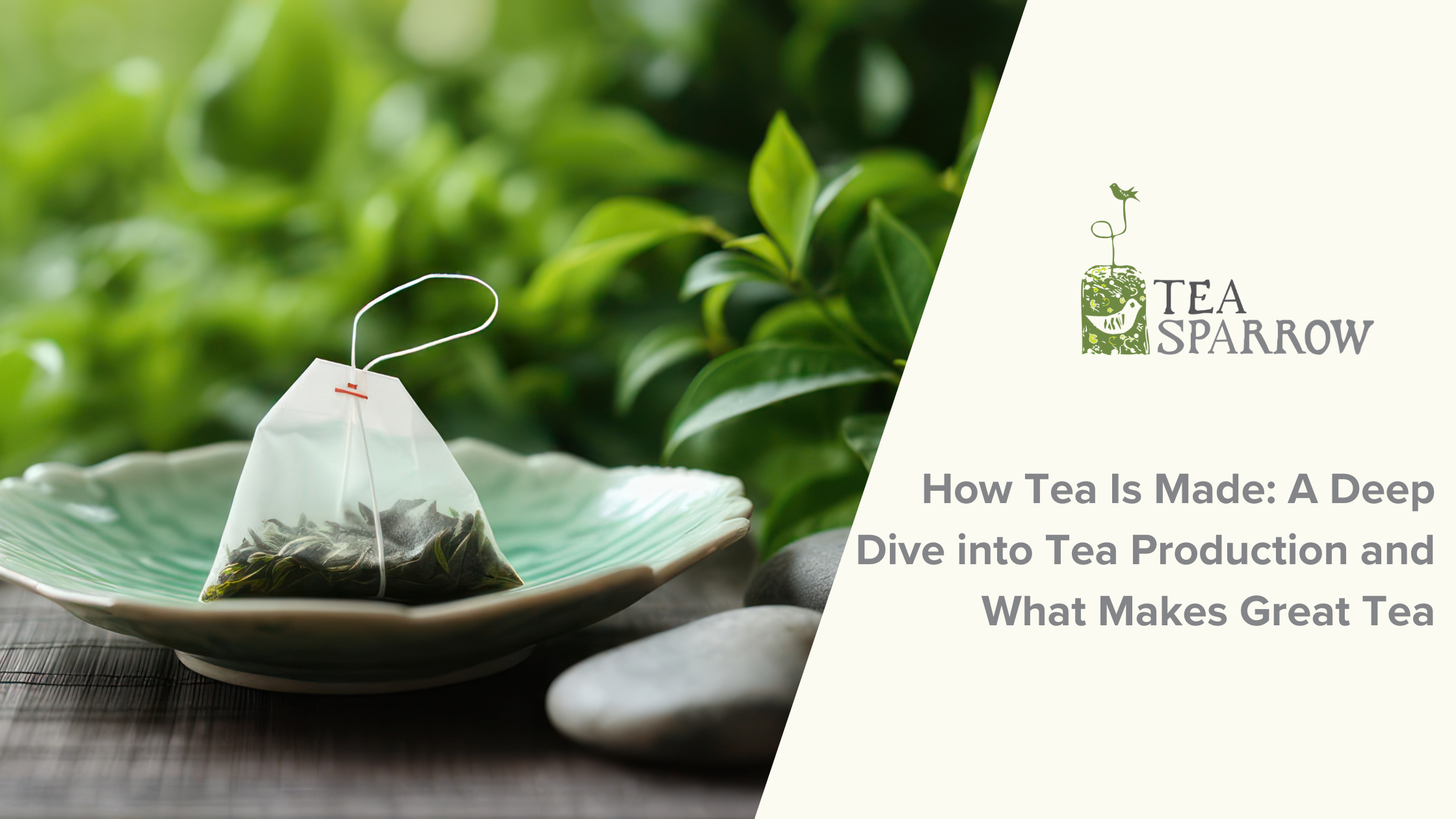 How Tea Is Made: A Deep Dive into Tea Production and What Makes Great ...