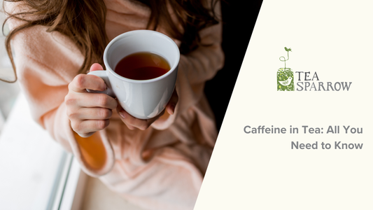 Caffeine in Tea: All You Need to Know